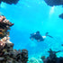 Sidemount diving - something for you?
